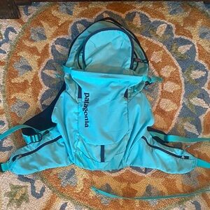 Patagonia Teal & Navy Small Hiking Pack